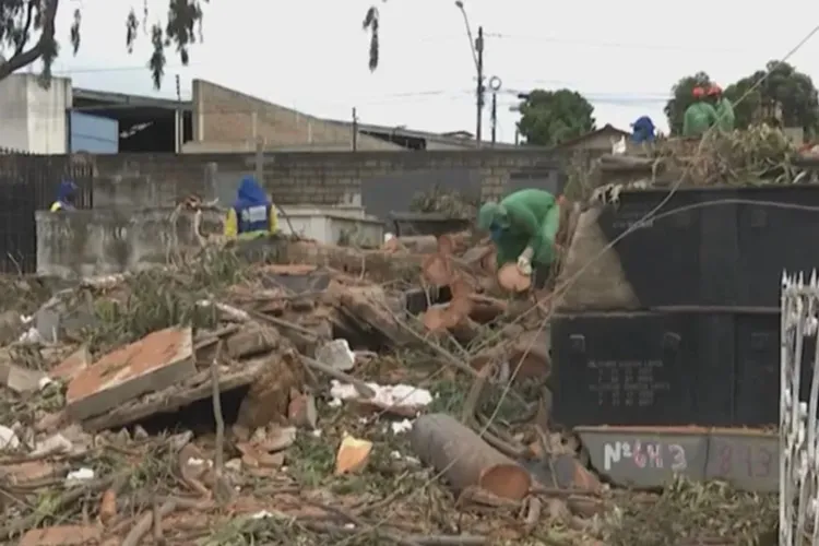 Árvore centenária cai e destrói túmulos em cemitério de Vitória da Conquista