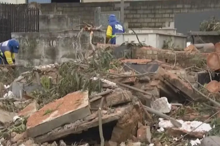 Árvore centenária cai e destrói túmulos em cemitério de Vitória da Conquista