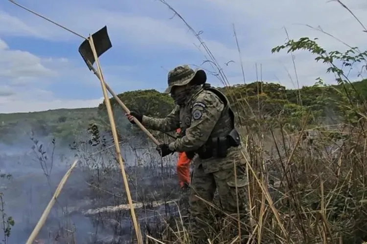 Brasil reduz 70% da área queimada no primeiro trimestre de 2025