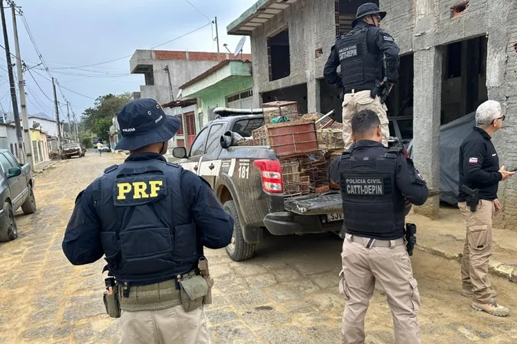 Operação Voo Livre desarticula esquema nacional de tráfico de animais silvestres