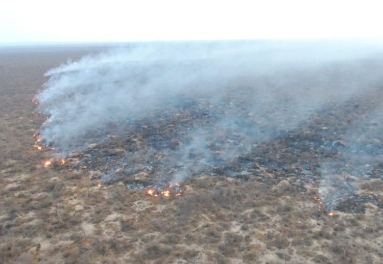 Incêndio é debelado em vegetação na Chapada Diamantina