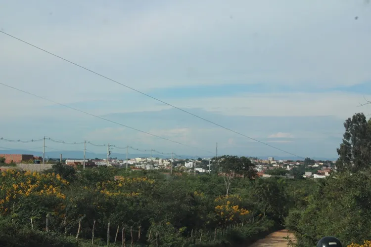 MP instaura inquéritos para apurar desmatamento ilegal na Caatinga em Condeúba e Tremedal