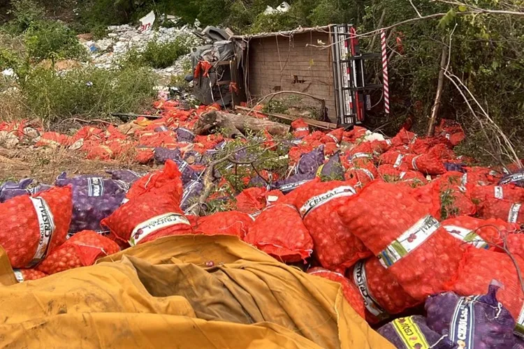 Motorista perde controle e tomba caminhão carregado com cebola na BA-148