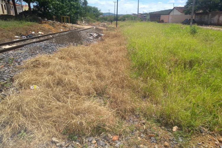 Brumado: Moradores cobram da FCA limpeza de matagal às margens da linha férrea na Virgílio Ataíde