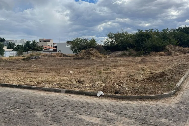 80 donos de lotes abandonados são notificados em Guanambi