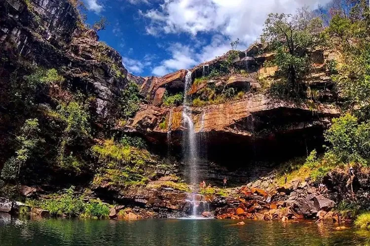 Criança de 8 anos é atacada por onça na Chapada dos Veadeiros