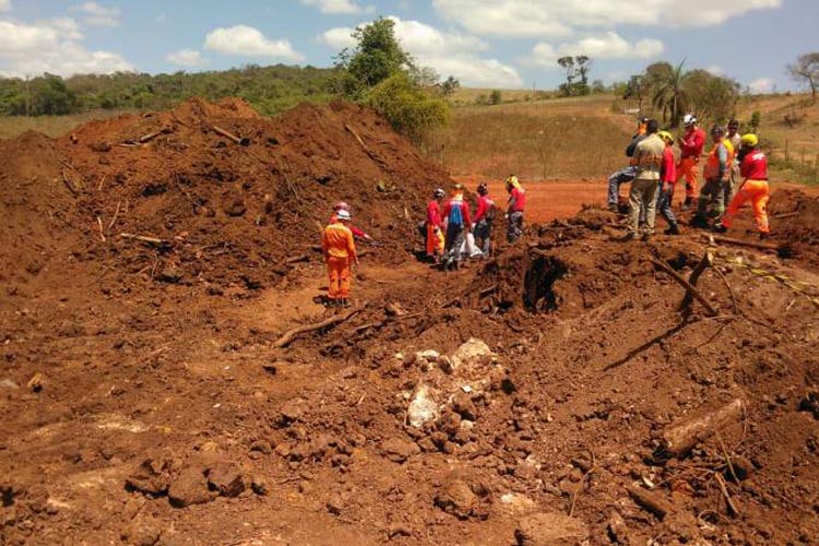 Brumadinho: 253º corpo é encontrado; 17 seguem desaparecidos