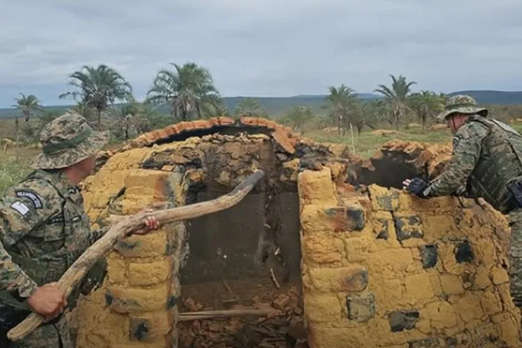 Carvoarias clandestinas desmata grande área de mata nativa na região de Guanambi