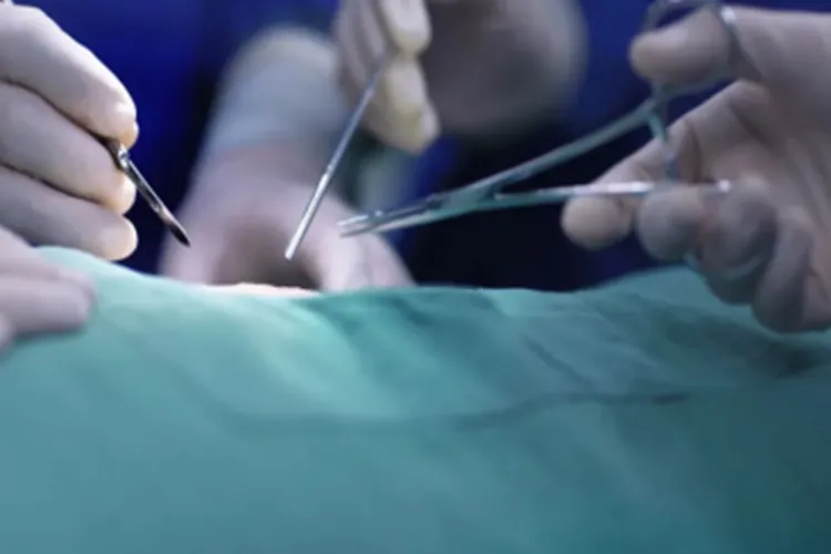 Primeiro transplante de fígado de porco em humano é realizado na China