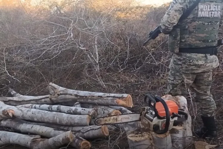 Polícia Ambiental apreende motosserra abandonada em Riacho de Santana