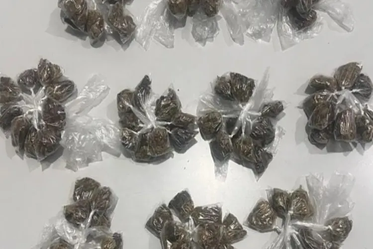 Cipe Sudoeste apreende maconha na zona rural de Paramirim