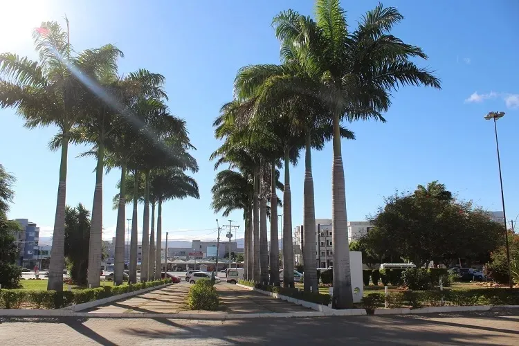 Guanambi: Pai suspeita de maus tratos e abuso sexual contra filha autista 