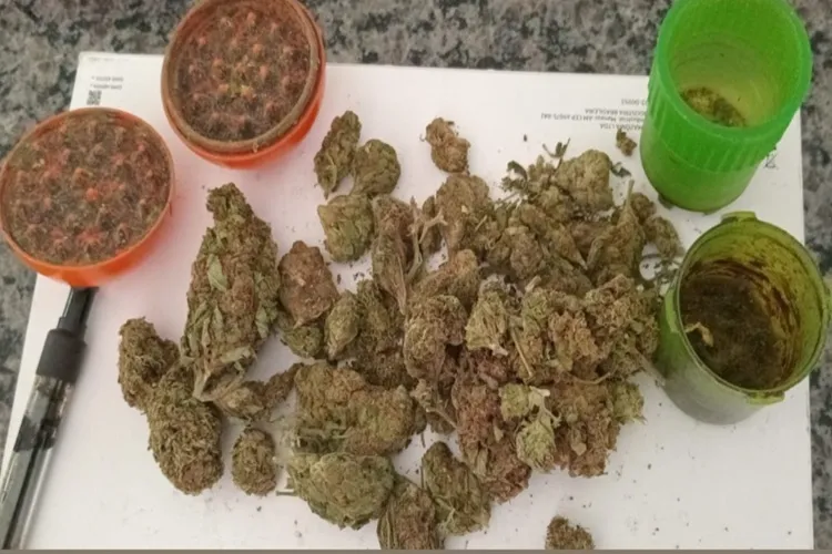 2ª CIPRv apreende drogas durante abordagem na BA-142 em Tanhaçu