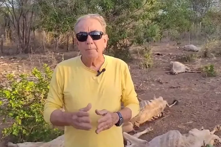 Seca: 'Estamos em guerra para salvar a nós e nossos animais', clama prefeito de Andaraí
