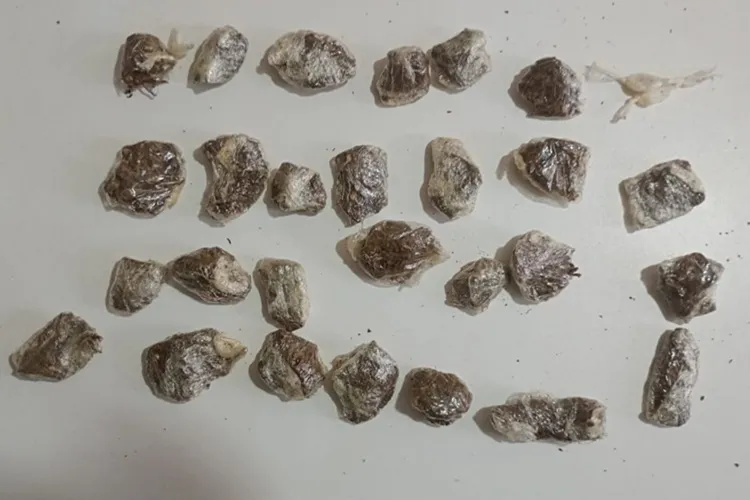 Homem descumpre medida protetiva e é preso com drogas em Tanque Novo