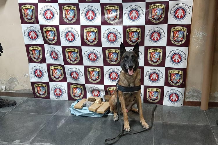 Feira de Santana: Mulher é presa com maconha, crack e cocaína dentro de ônibus