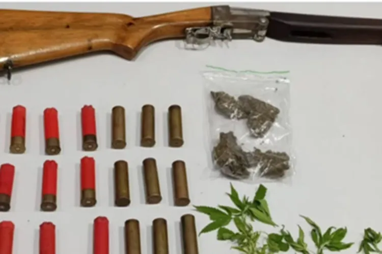 Operação policial apreende arma, munições e pés de maconha em Botuporã