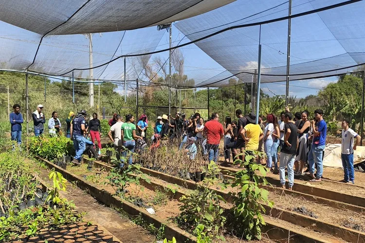 Agricultores de Caturama e Paramirim realizam intercâmbio focado em agroecologia