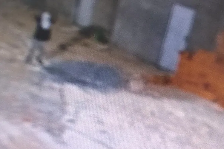 Polícia Civil prende suspeito de depredar câmeras de videomonitoramento de Carinhanha