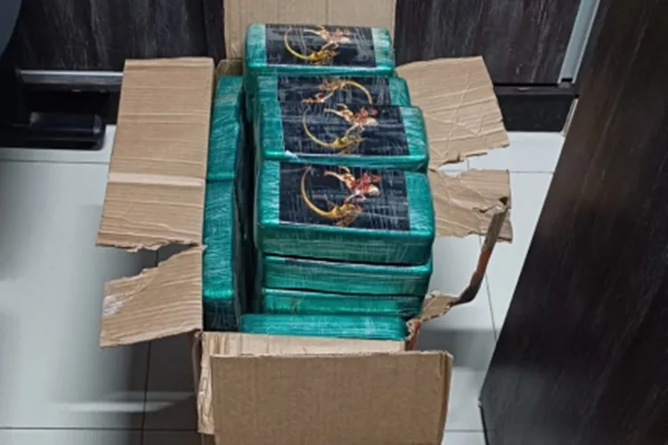 PRF apreende quase 60 kg de drogas escondidos em caminhão na BR-242 em Barreiras