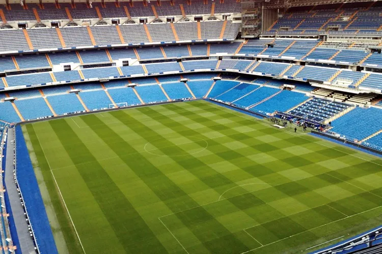 Como se saiu o Brasil durante as eliminatórias