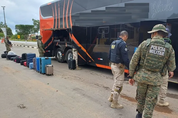 Chapada Diamantina: Operação resulta em apreensões e cumprimento de mandado de prisão