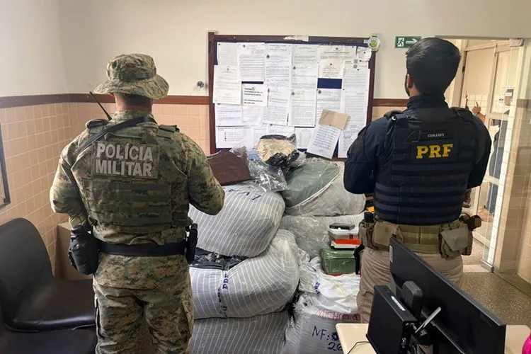 Chapada Diamantina: Operação resulta em apreensões e cumprimento de mandado de prisão