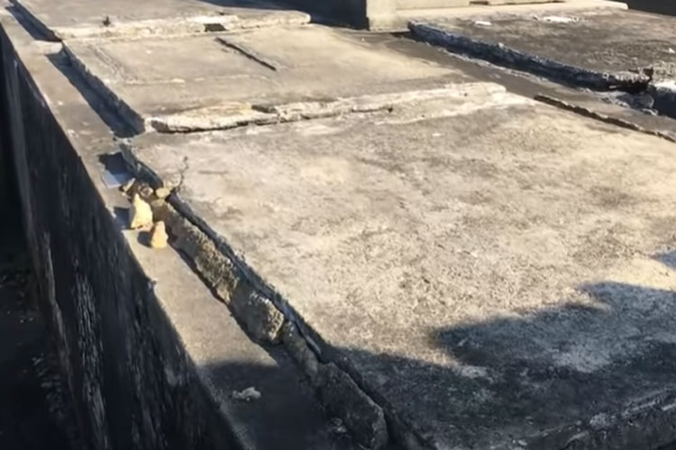 Advogados de Brumado em campanha pelo túmulo de Waldick Soriano