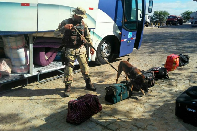 Operação Faro Fino visa coibir tráfico de entorpecentes na BA-262 em Caraíbas e Aracatu