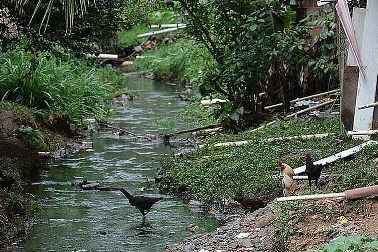 Mais de 50% dos municípios baianos têm problemas de saúde por falta de saneamento
