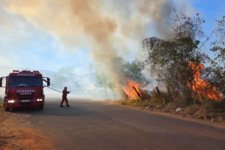 VÍDEO: Incêndio provocado por queimada atinge 30 hectares e mata animais silvestres em Brumado