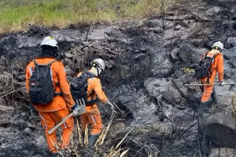 Bombeiros controlam incêndio de grandes proporções na Chapada Diamantina