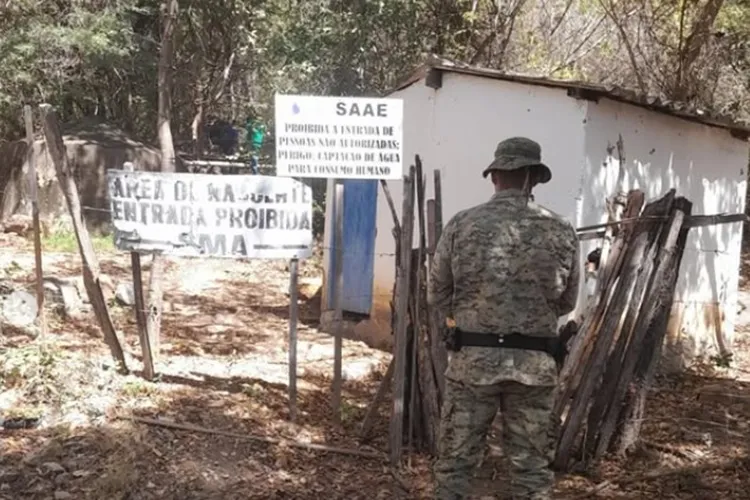 Cippa identifica desmatamento de matas ciliares nas nascentes em Boquira