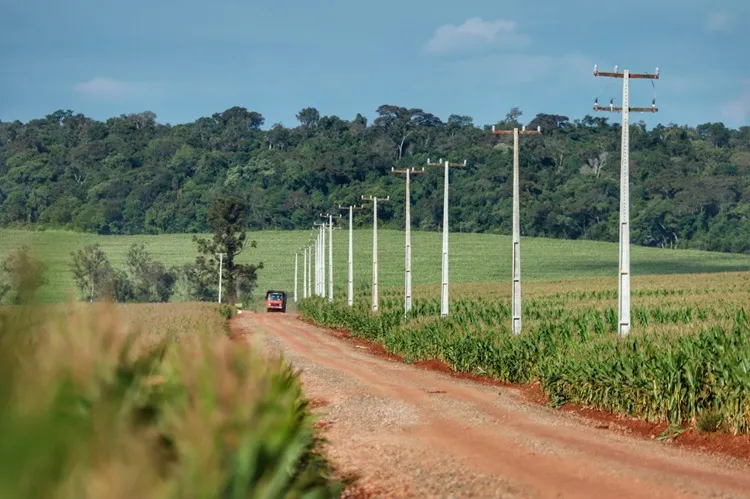 Justiça dá 30 dias para Coelba apresentar plano de energia para comunidade rural em Abaíra