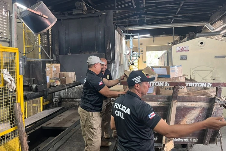 Polícia Civil incinera 400 quilos de entorpecentes em Itapetinga
