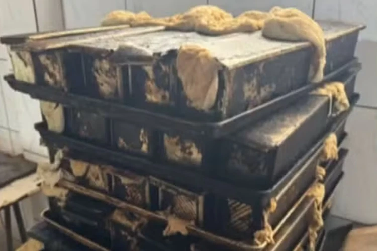 Padaria com 8 toneladas de produtos irregulares é interdita em Vitória da Conquista