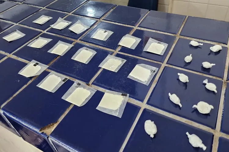 CIPRv apreende entorpecentes durante abordagem na BA-148 em Malhada de Pedras