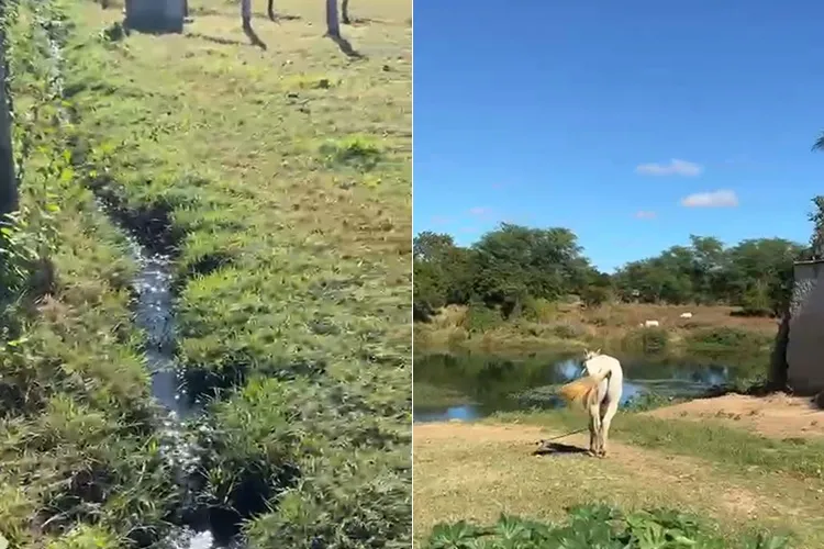 VÍDEO: Turista registra esgoto sendo lançado no Rio Paramirim que abastece Ibipitanga