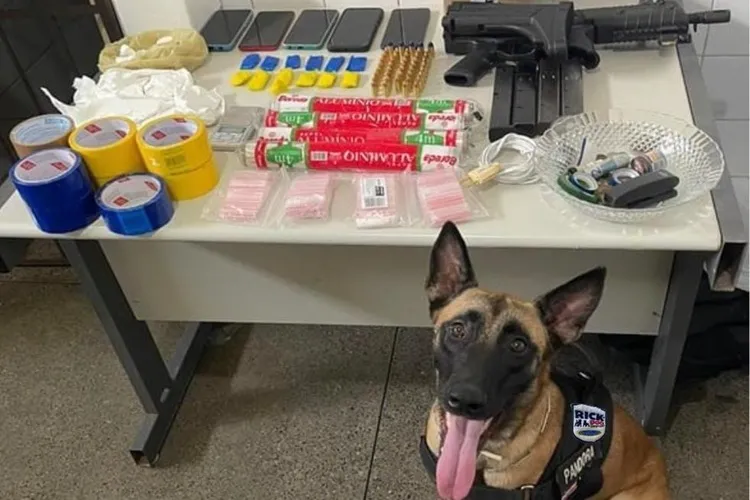 Submetralhadora e drogas são encontradas com líder de facção em Andaraí