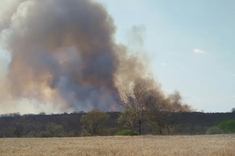 Fumaça de incêndio na BA-026 causa acidente e deixa feridos em Malhada de Pedras