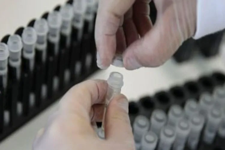 USP: Pesquisa de vacina contra zika avança em testes com camundongos