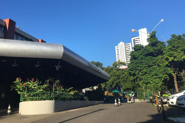 Homem morre após ser mordido por pitbull no interior da Bahia