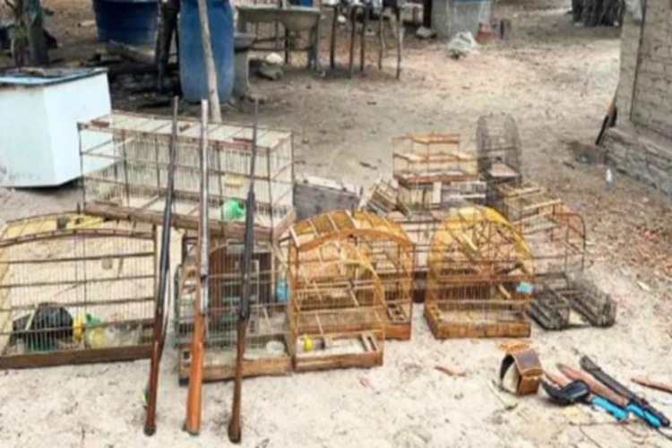 Macaúbas: 4ª CIPM prende homem por manter animais silvestres em cativeiro