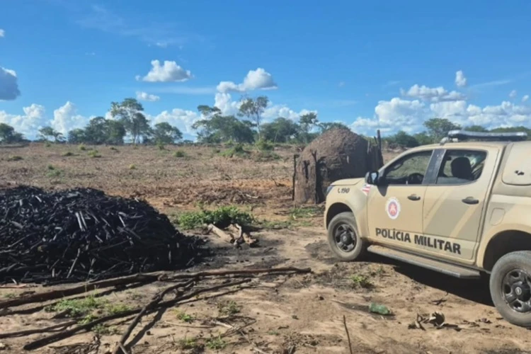 Fornos ilegais de carvão são destruídos na zona rural de Carinhanha