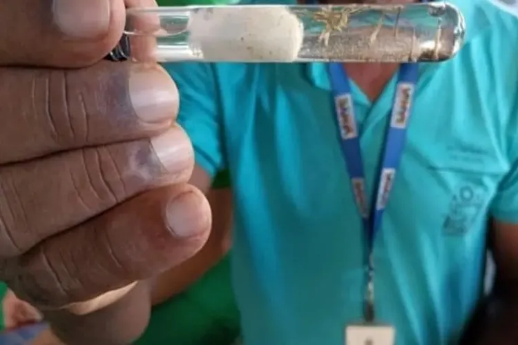 Bahia registra mais de 100 mortes por dengue em 2024 e 47 cidades estão em epidemia