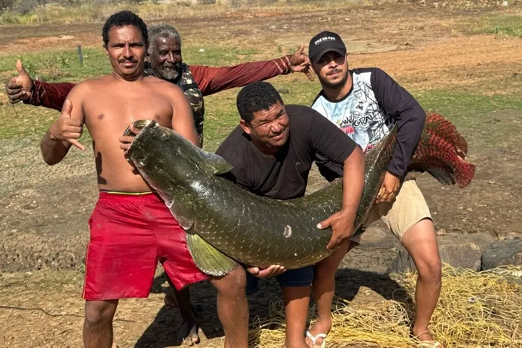 Pescadores capturam Pirarucu com 87 kg na Barragem do Rio do Paulo em Dom Basílio