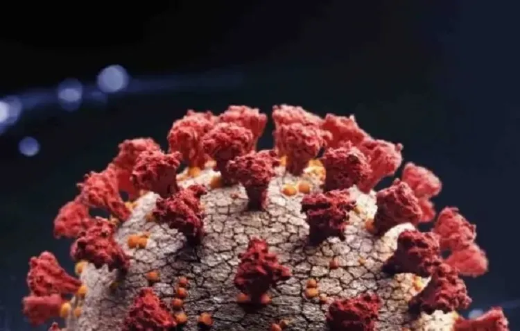 Ministério da Saúde confirma primeiro caso da nova variante da Covid-19 no Brasil