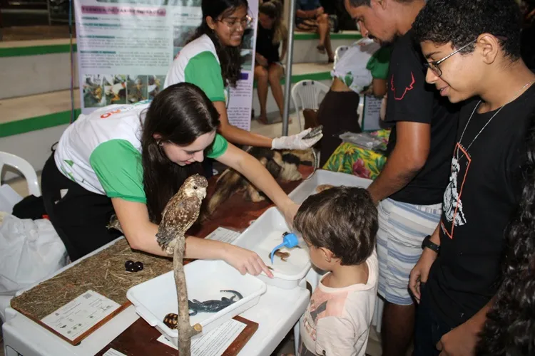 Encerramento da Semana do Meio Ambiente teve exposição e show em Brumado