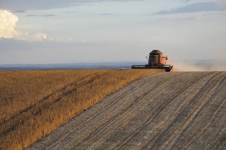 O que é Agricultura de Precisão e como funciona no Brasil