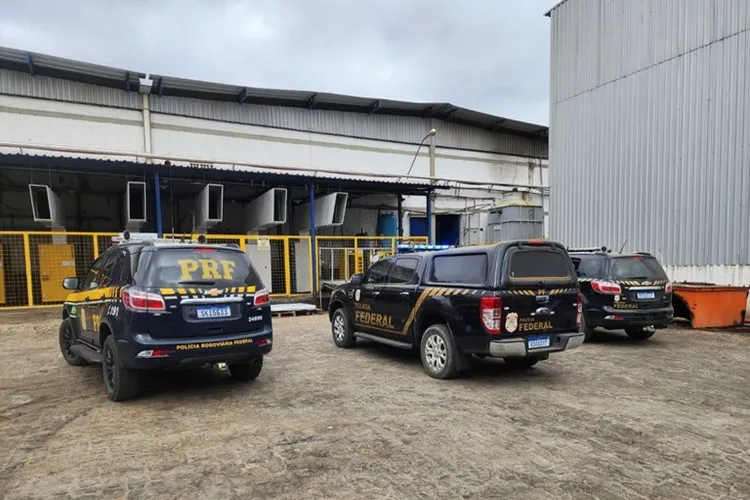 PRF e PF incineram 1,7 tonelada de maconha em Vitória da Conquista